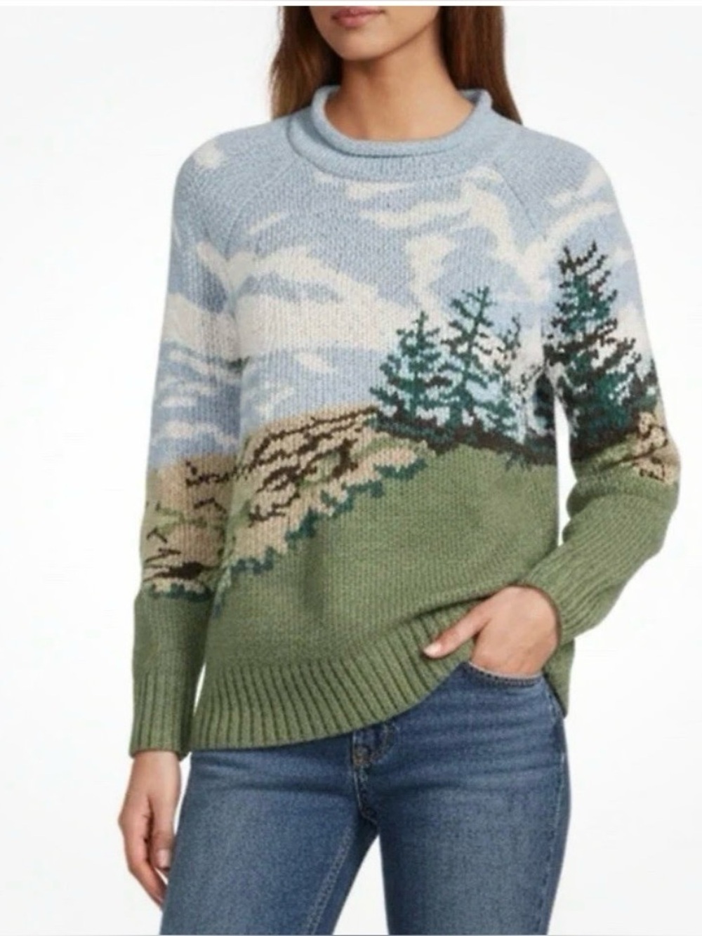 LL Bean signature roll neck sweater coastal landscape Organic XL NWOT